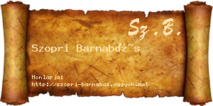 Szopri Barnabás névjegykártya